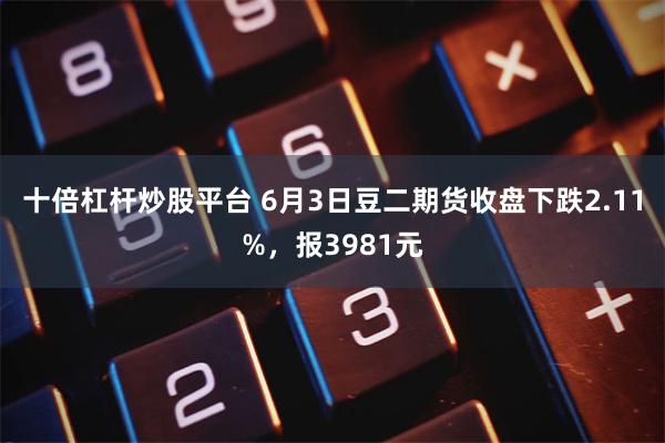 十倍杠杆炒股平台 6月3日豆二期货收盘下跌2.11%，报3981元