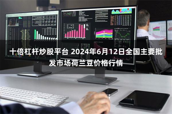 十倍杠杆炒股平台 2024年6月12日全国主要批发市场荷兰豆价格行情