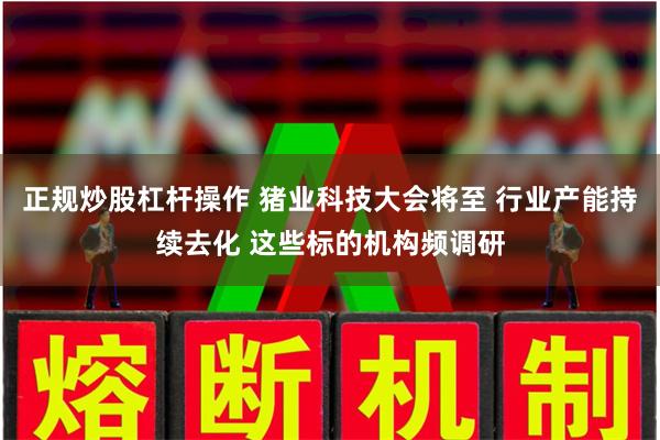 正规炒股杠杆操作 猪业科技大会将至 行业产能持续去化 这些标的机构频调研