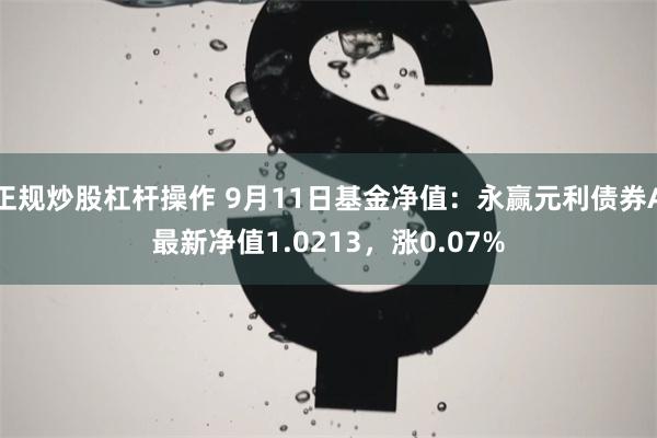 正规炒股杠杆操作 9月11日基金净值：永赢元利债券A最新净值1.0213，涨0.07%
