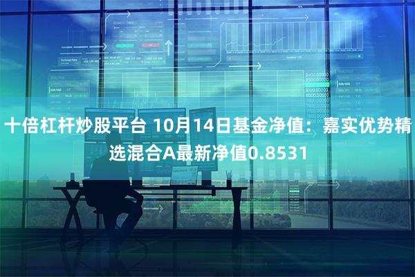 十倍杠杆炒股平台 10月14日基金净值：嘉实优势精选混合A最新净值0.8531