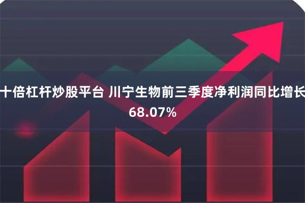 十倍杠杆炒股平台 川宁生物前三季度净利润同比增长68.07%