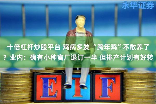 十倍杠杆炒股平台 鸡病多发 “跨年鸡”不敢养了？业内：确有小种禽厂退订一半 但排产计划有好转